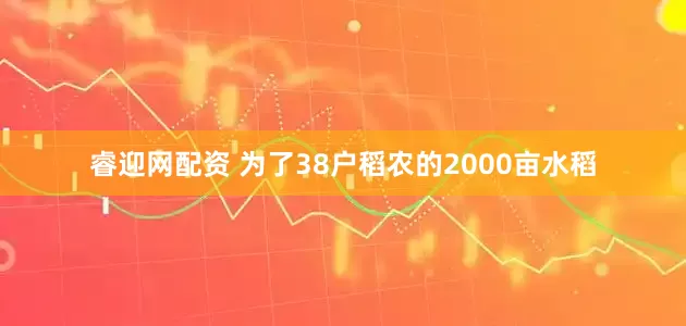 睿迎网配资 为了38户稻农的2000亩水稻
